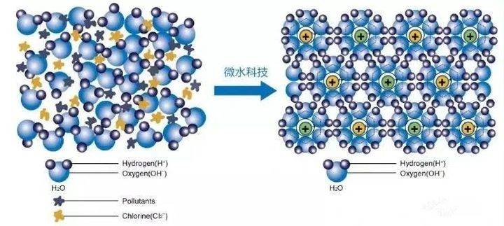 不吹不黑！这是我见过最全面最有效的祛斑方法！「福利速进！」