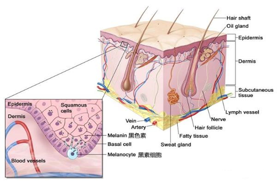 南京同仁堂祛斑霜是真的能祛斑吗，别把祛斑想得太难，美白的路就在眼前