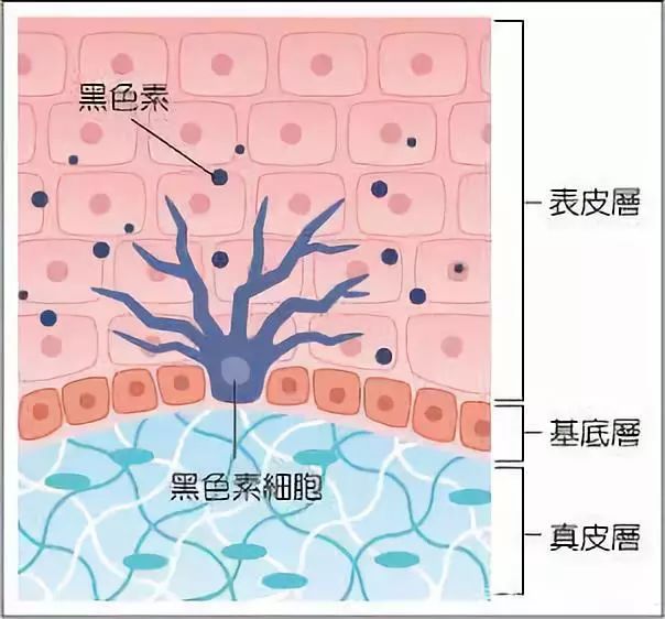 七子面膜的危害极大？美白应该这样做