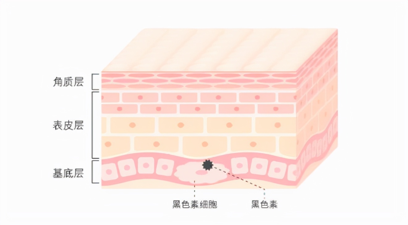 脸上“长斑”怎么办？这份“淡斑护肤”指南，请收好