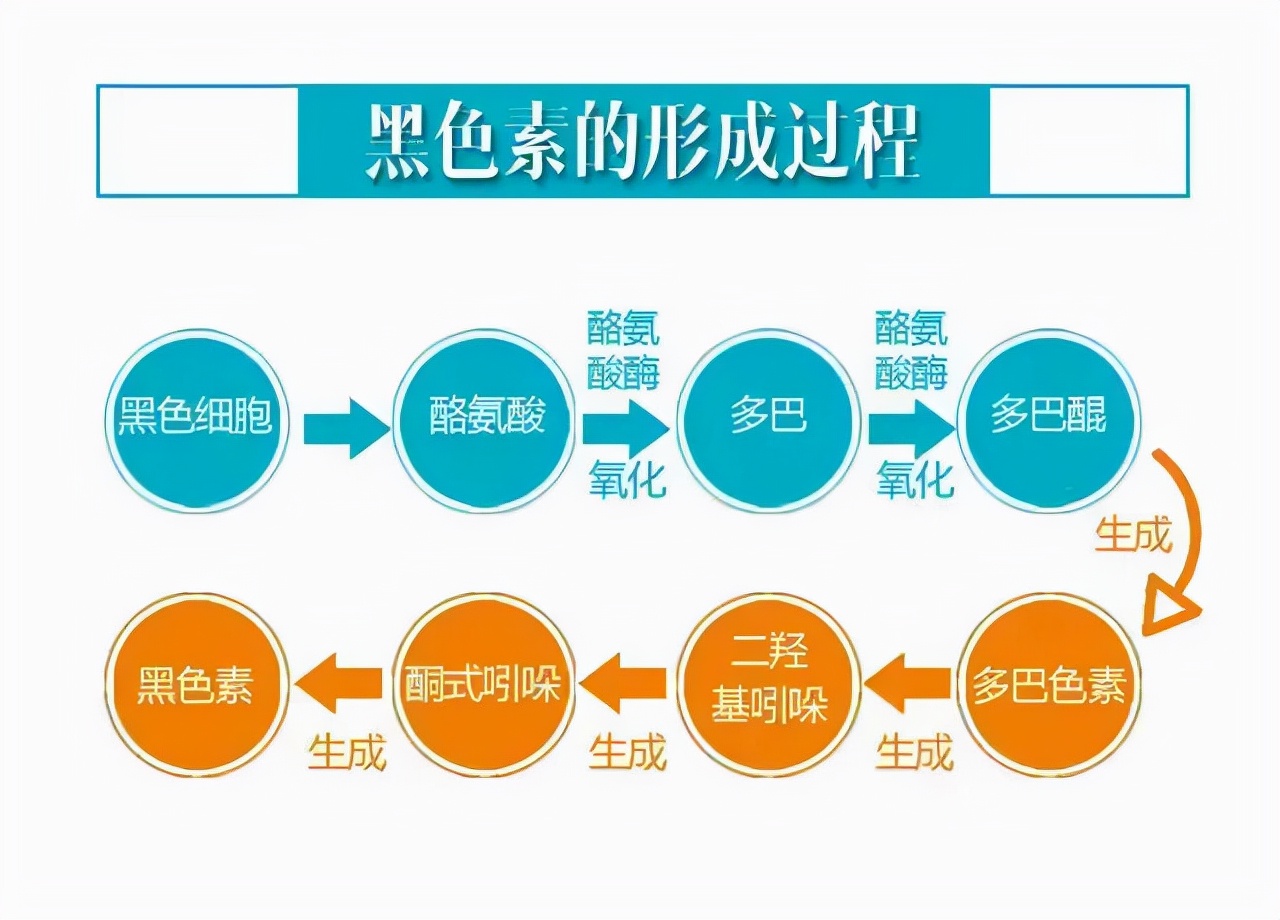 维生素E涂脸的功效与禁忌，34岁女子，为了淡斑美白，长期用维生素E涂脸，后来怎么样了？