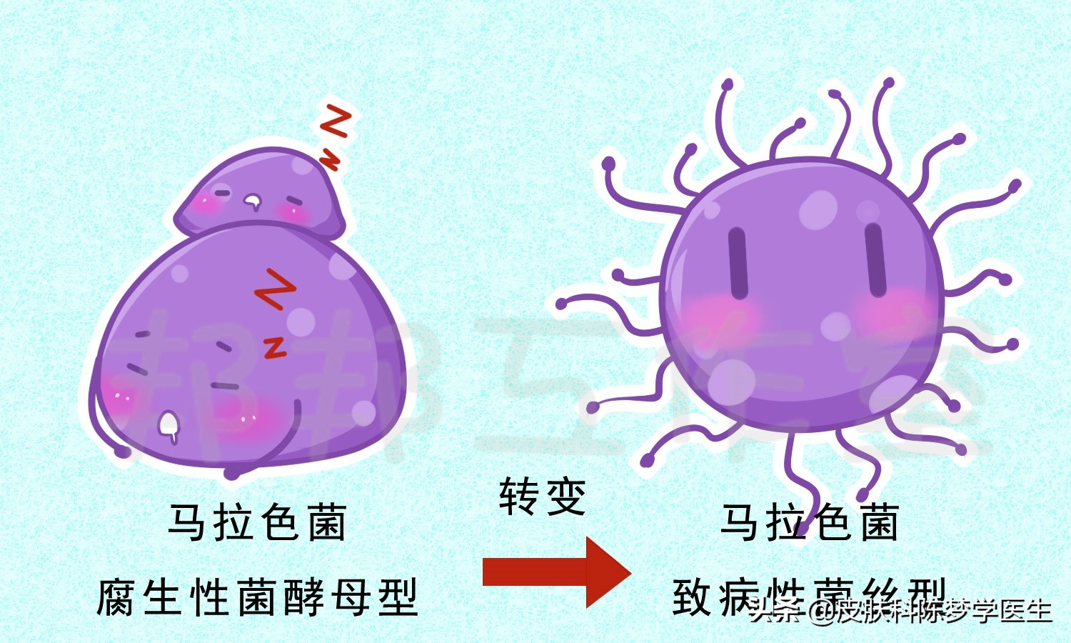 夏天一到，前胸和后背就出现一块块白色或褐色的斑片，真是烦人