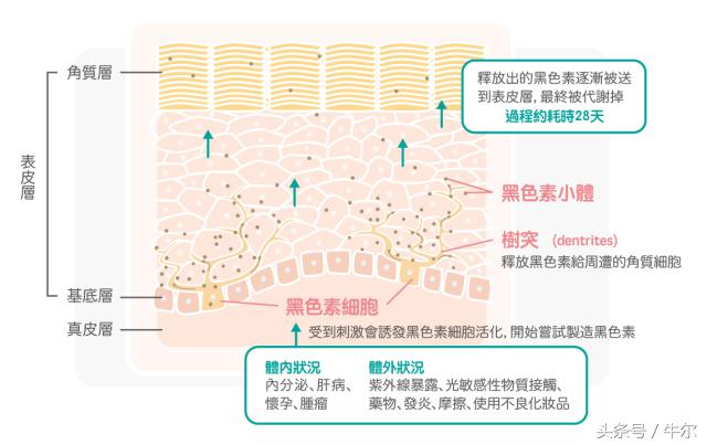 究竟斑该怎么祛才有效？给你套祛斑方案