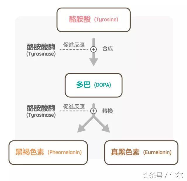 究竟斑该怎么祛才有效？给你套祛斑方案