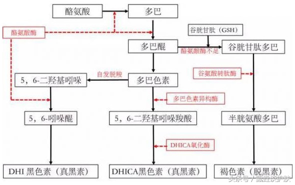 想白成一道光，去除黄褐斑、雀斑，还得试试这些猛药