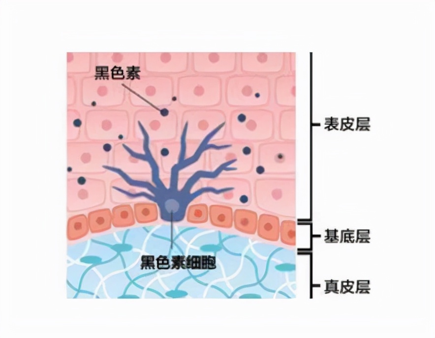 怎么祛斑美白？高效少折腾的方法来了