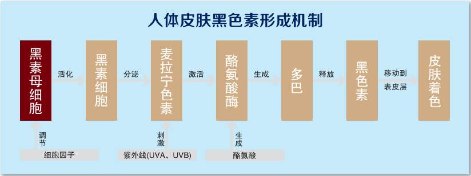 蜂蜜能淡化色斑吗？效果怎么样？