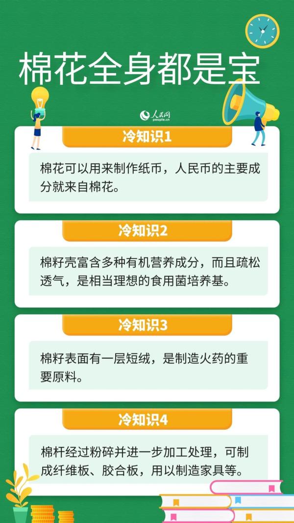 人民币的原料是棉花、棉杆可做家具……这些关于棉花的冷知识你知道吗？