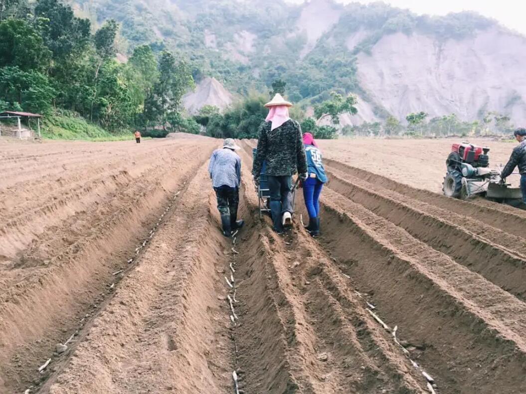 “天然褪黑素”终被找到，早晚吃一点，美白祛斑，40岁依旧很美