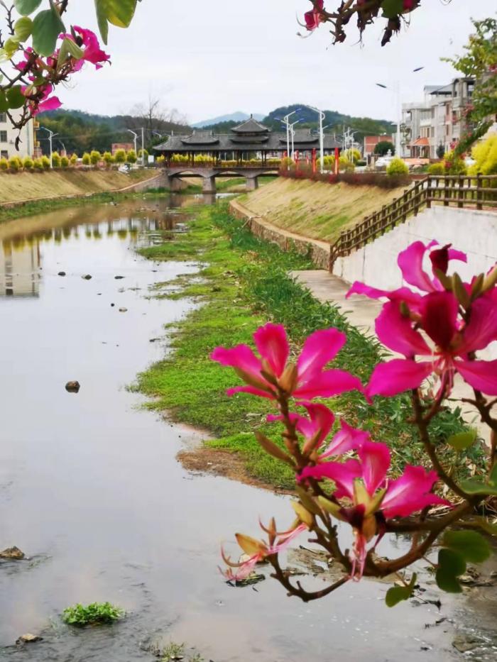 乡愁，最是那清清浅浅的溪流——西湖村踏春