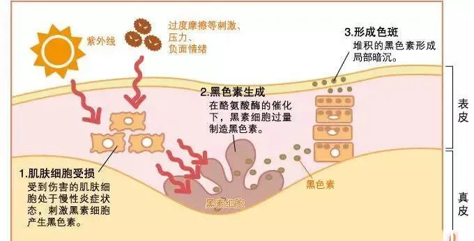 正确认识色沉