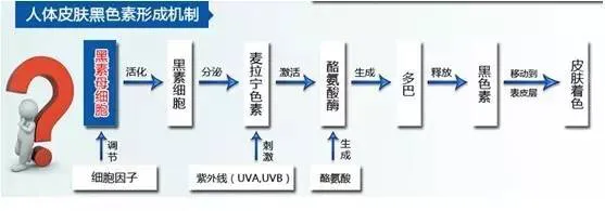 正确认识色沉