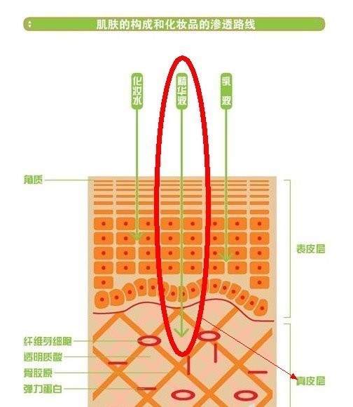 教你几个如何淡斑的方法，帮你打造祛斑美人