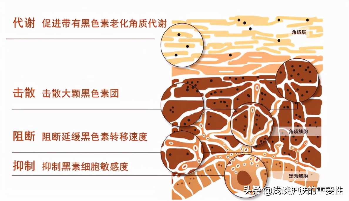 想要脸蛋不显老美丽如初，祛斑护肤品有人用过吗？