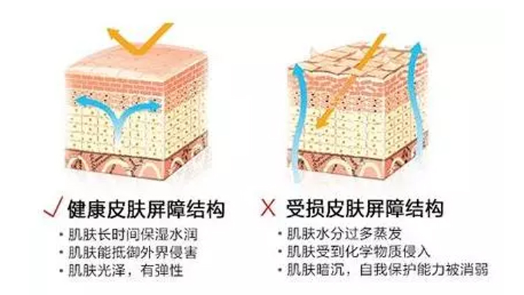 你要祛斑、祛痘、祛皱纹，不要找护肤品，没用