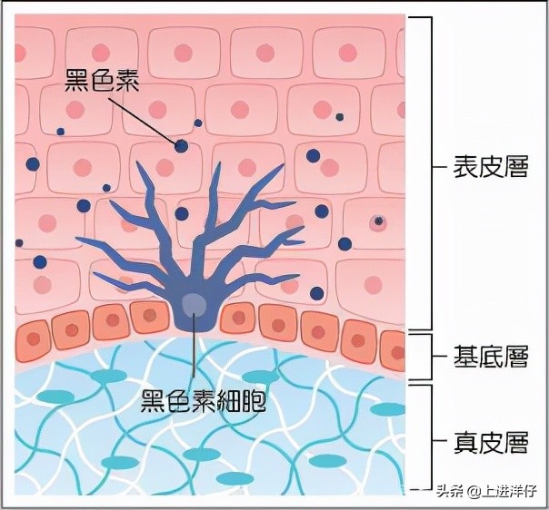 用了这十款美白精华，觉得其他的也不过如此