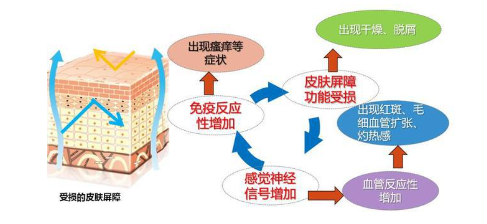 早C晚A功效护肤“翻车”：皮肤反黑了怎么办？