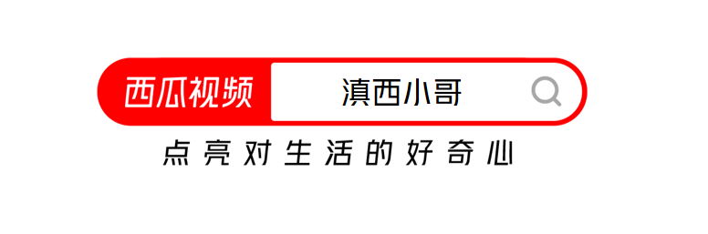 俗话说“早上三片姜，赛过喝参汤”生姜为啥这么神奇西瓜视频揭秘