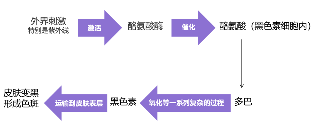 “祛斑”是一场持久战，了解色斑的前世今生，让祛斑更有效