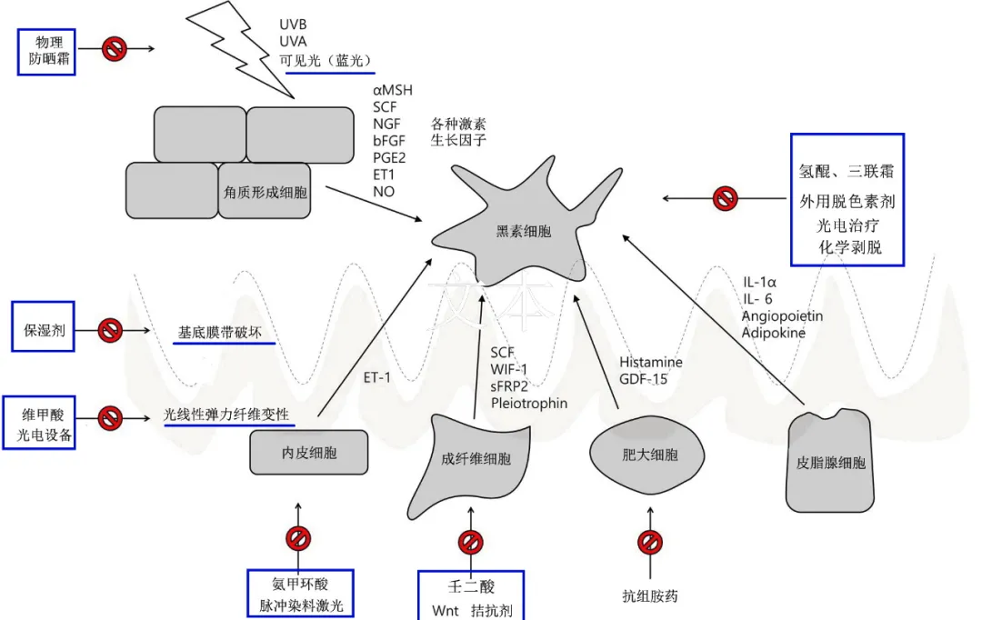 怪不得黄褐斑这么难治，原来不仅是色斑问题，还有光老化