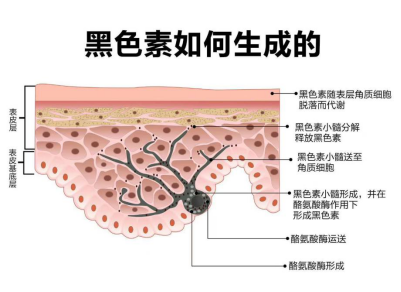 肌肤暗黄有色斑？吉米雪颜素美白淡斑体验套让肌肤重生