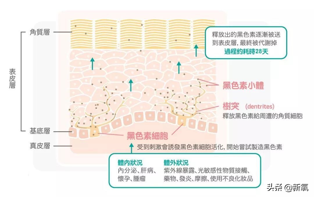 林允秦岚这么频繁的做激光，不怕反黑吗？