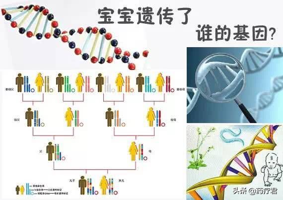 扒一扒，爸爸能遗传给孩子哪些显性基因