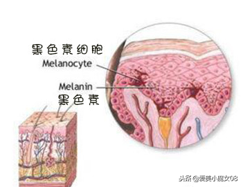 不懂这些成分，祛斑容易被忽悠