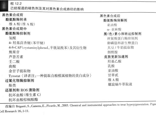 想美白祛斑，请先了解一下黑色素的形成及美白产品的美白机制