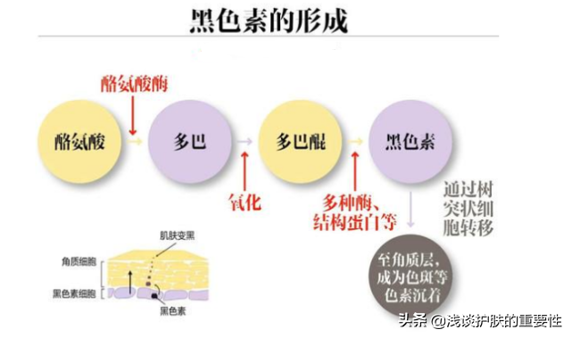 美白常见问题大揭秘，终于知道敬修堂佰花方到底有没效果了