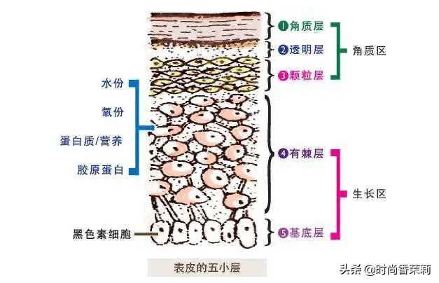 祛斑是个技术活，涂抹美白祛斑霜是徒劳的，甚至可能让问题更严重