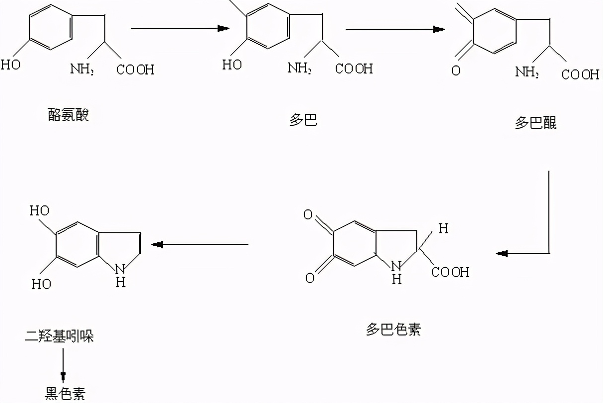 祛斑难还容易反弹？今天就来聊聊这背后的“吸收”问题