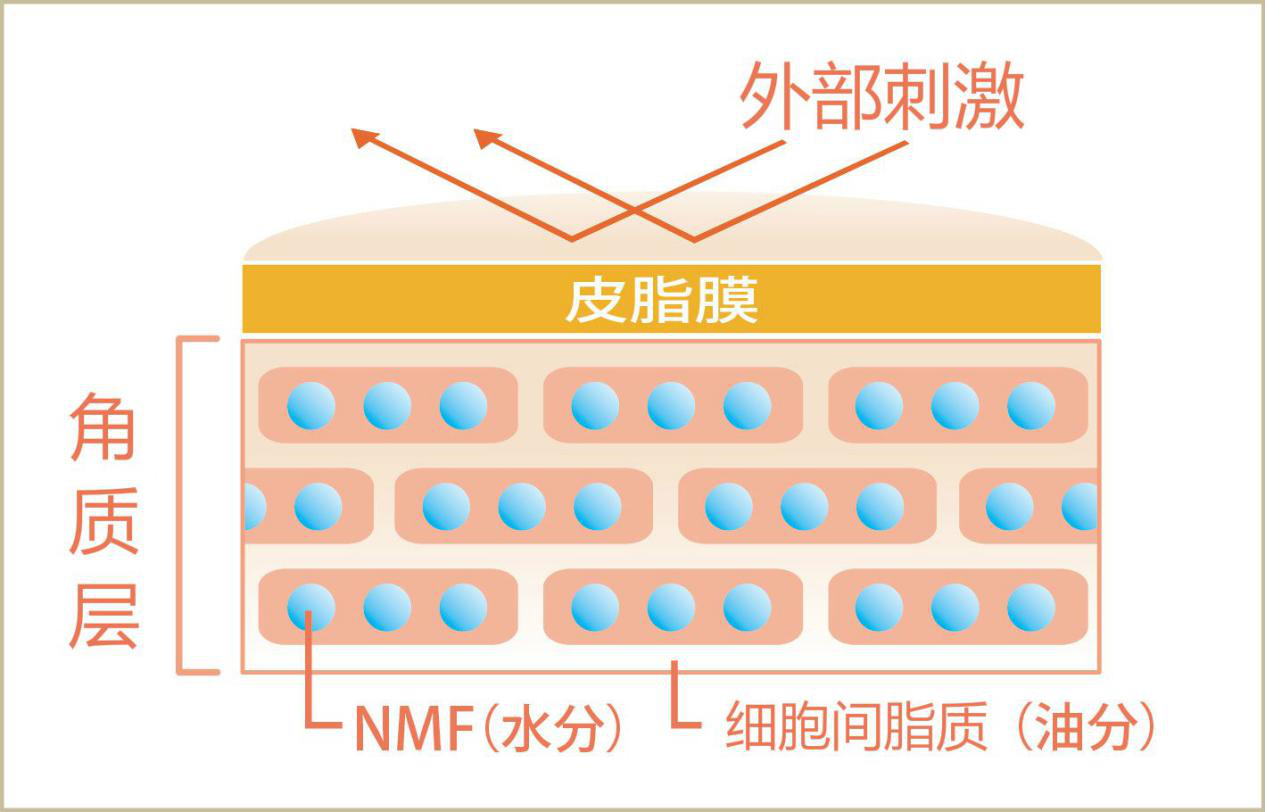 祛斑难还容易反弹？今天就来聊聊这背后的“吸收”问题