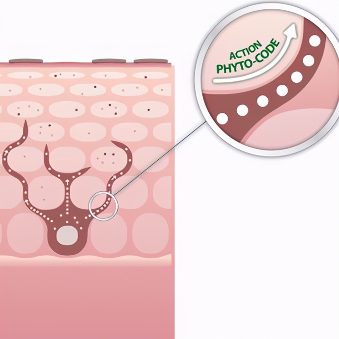 祛斑难还容易反弹？今天就来聊聊这背后的“吸收”问题