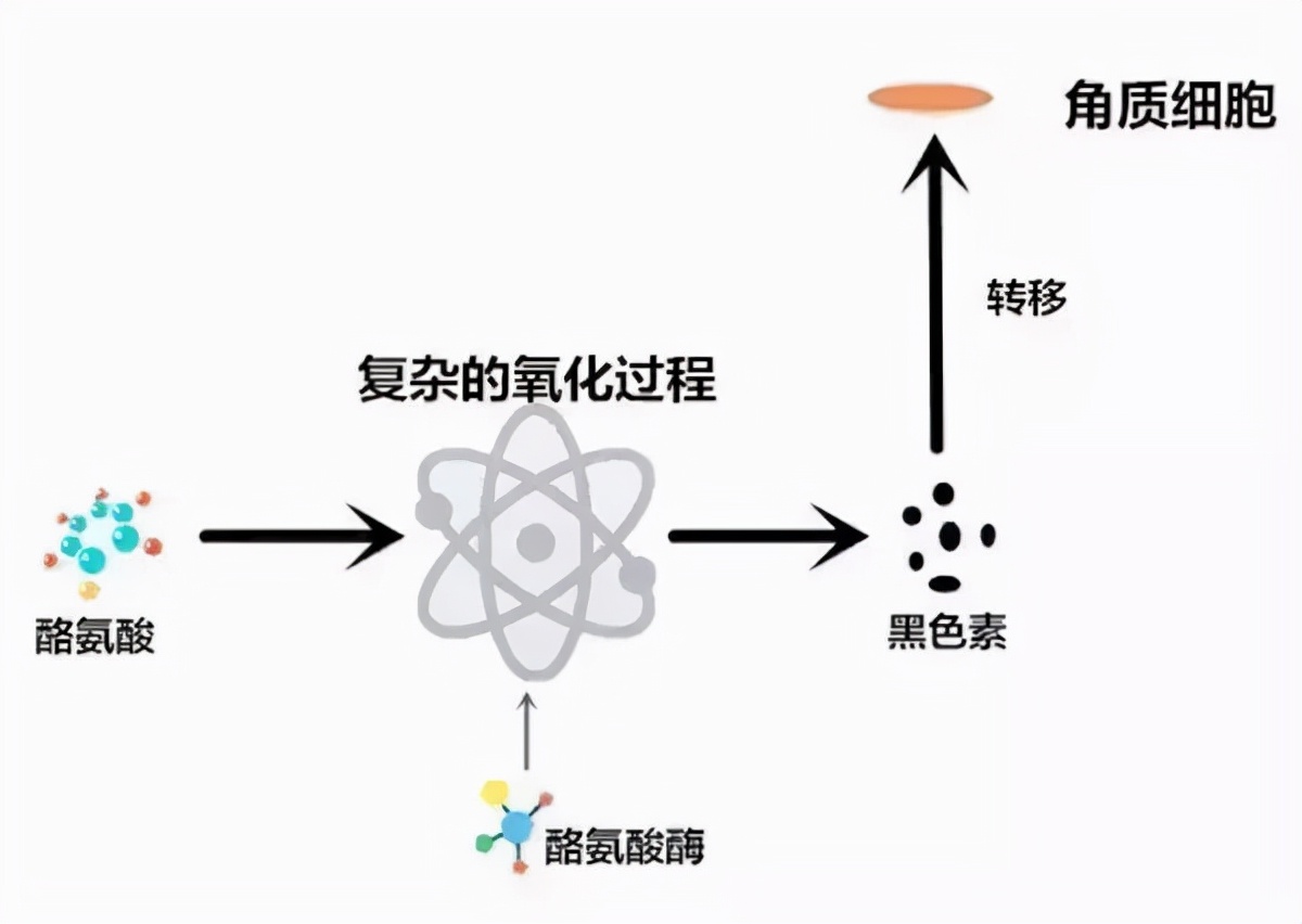 祛斑霜美白霜，四肽-27 Ttrapeptide-27 四胜肽 美白淡斑均匀肤色