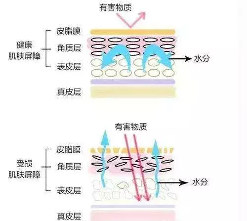 被皮肤科医生吹爆的修复科技，你爱不爱？