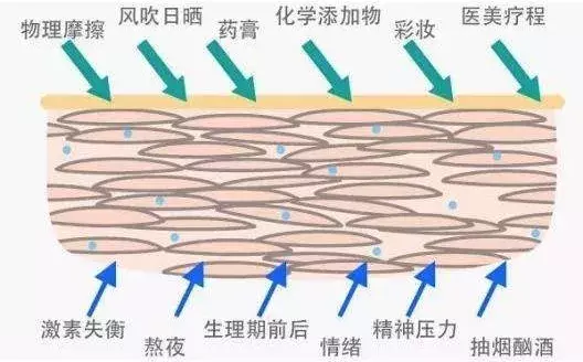 被皮肤科医生吹爆的修复科技，你爱不爱？