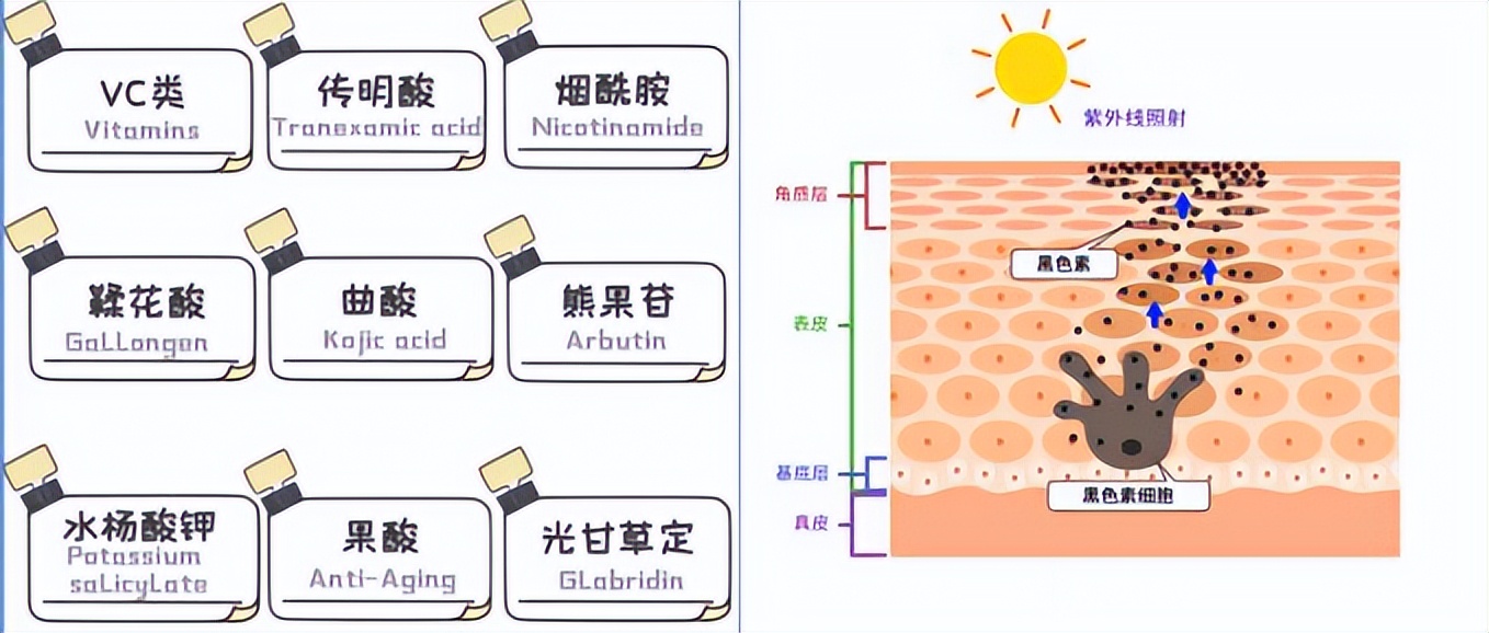 美白祛斑产品怎么避坑，能让你变白的方法快点收藏吧