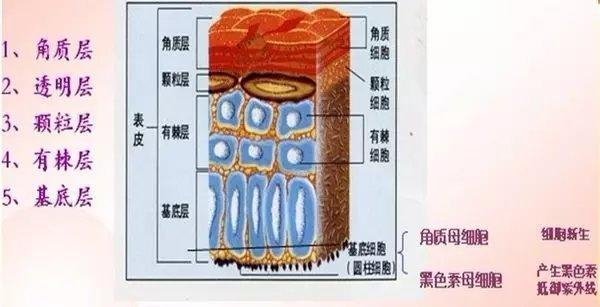 斑点的正确改善方法，有斑的美眉速来学习