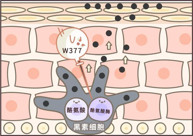 为什么你的色斑祛不掉？搞定它就OK