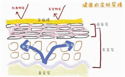 哪些祛斑产品效果最好，18岁大男孩“作”出黄褐斑 深度清洁是护肤第一要诀？