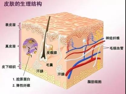 黄褐斑激光能彻底去除吗,祛斑正规医院，秋冬的皮肤最难护理！专家的“妙招”来了