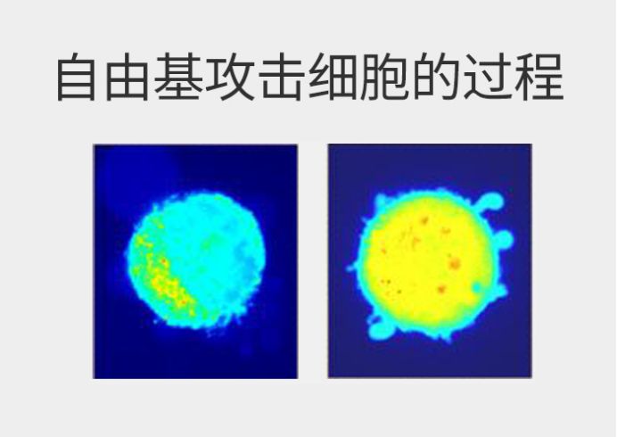 胎记可以去除掉吗,脸上有白色一块一块的怎么回事，皮肤为什么会衰老？你脸上长皱纹和色斑的真正原因是什么：